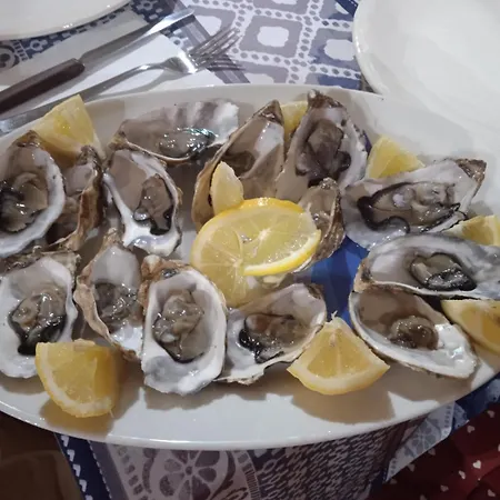 Gargano Puglia Mare Marina Di - Check In -out 