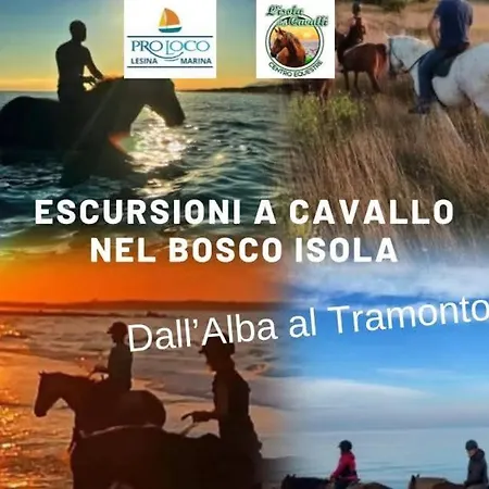 Mare Gargano Puglia Marina Di - 4g Min בית נופש *