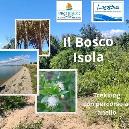 Mare Gargano Puglia Marina Di - 4g Min * לזינה